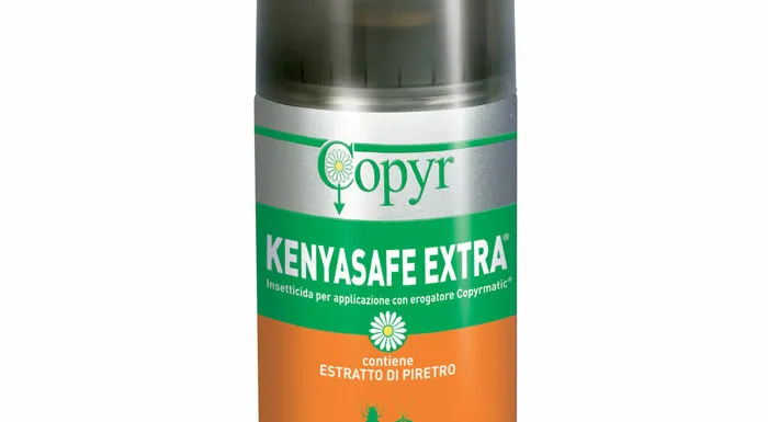 AEROSOL INSETTICIDA PER MOSCHE E ZANZARE