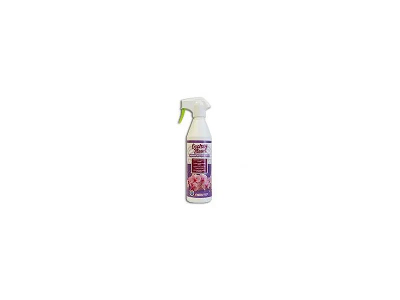 EMPHASY BLOOM 